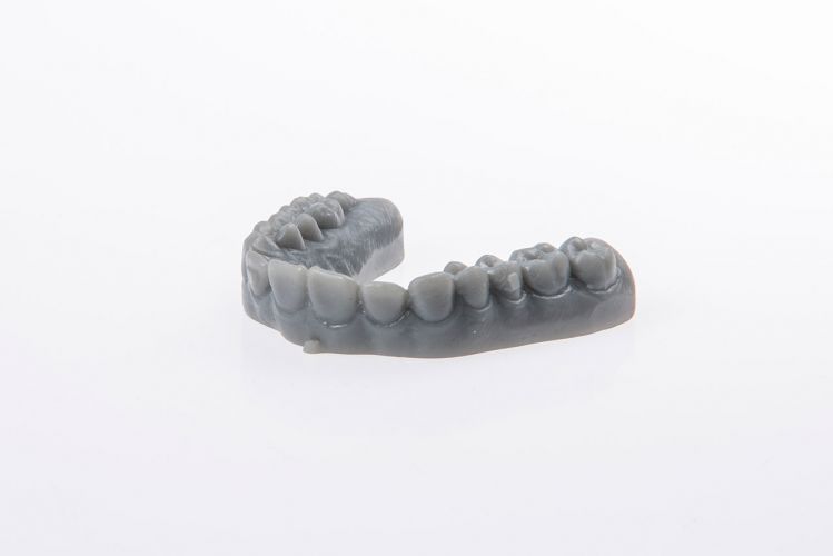 Modello di arcata dentale